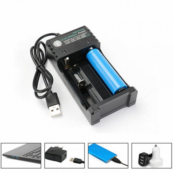 Dual USB Lithium Battery Charger
