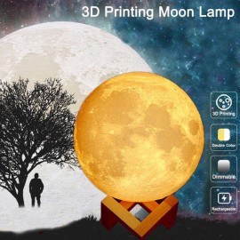 3D LED Luna Night Light