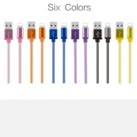 iPhone 3.0 Fast Charge Cable
