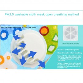PM2.5 Kid's Reusable Face Mask