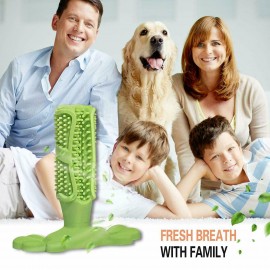 Dog Toothbrush Chew Toy