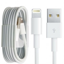 Apple Certified 1m Cable & Charger