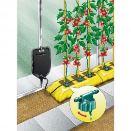 Automatic Plant Watering System