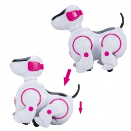 Robot Dancing Dog Robot Dancing Dog