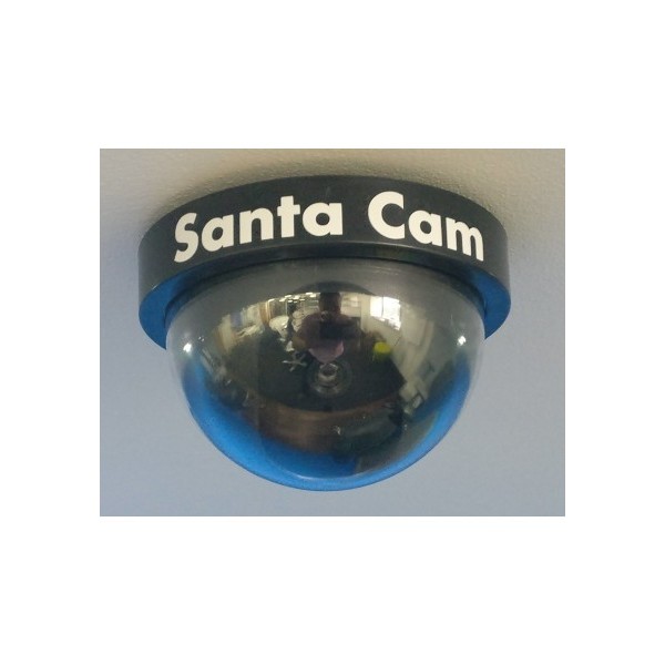 Dummy Santa Cam